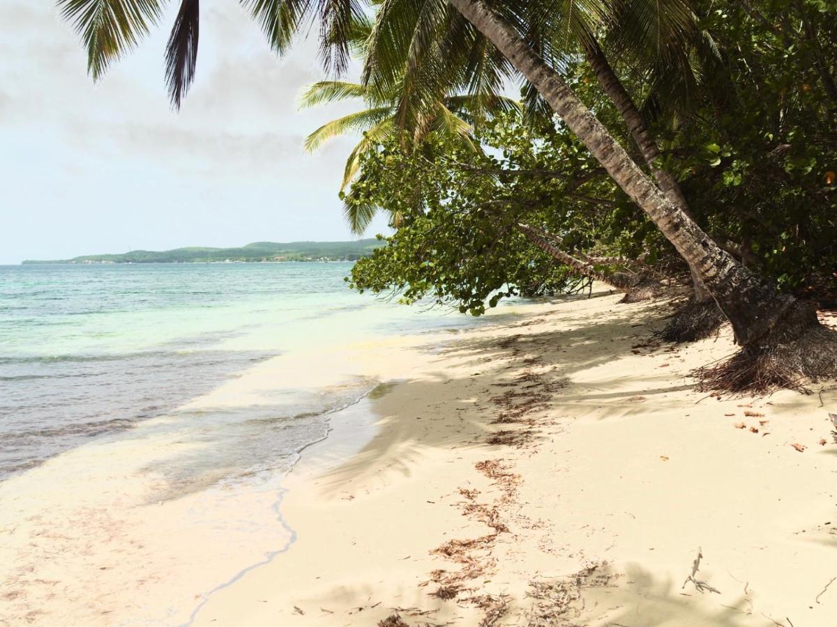 L Oralya - Blue Dream, Plage, Piscine, Restaurant Grand-Bourg (Marie Galante) Экстерьер фото