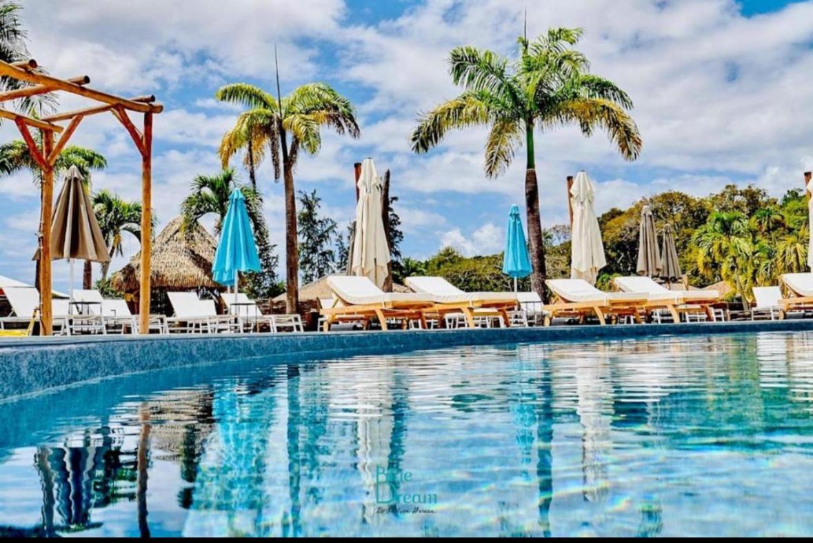 L Oralya - Blue Dream, Plage, Piscine, Restaurant Grand-Bourg (Marie Galante) Экстерьер фото