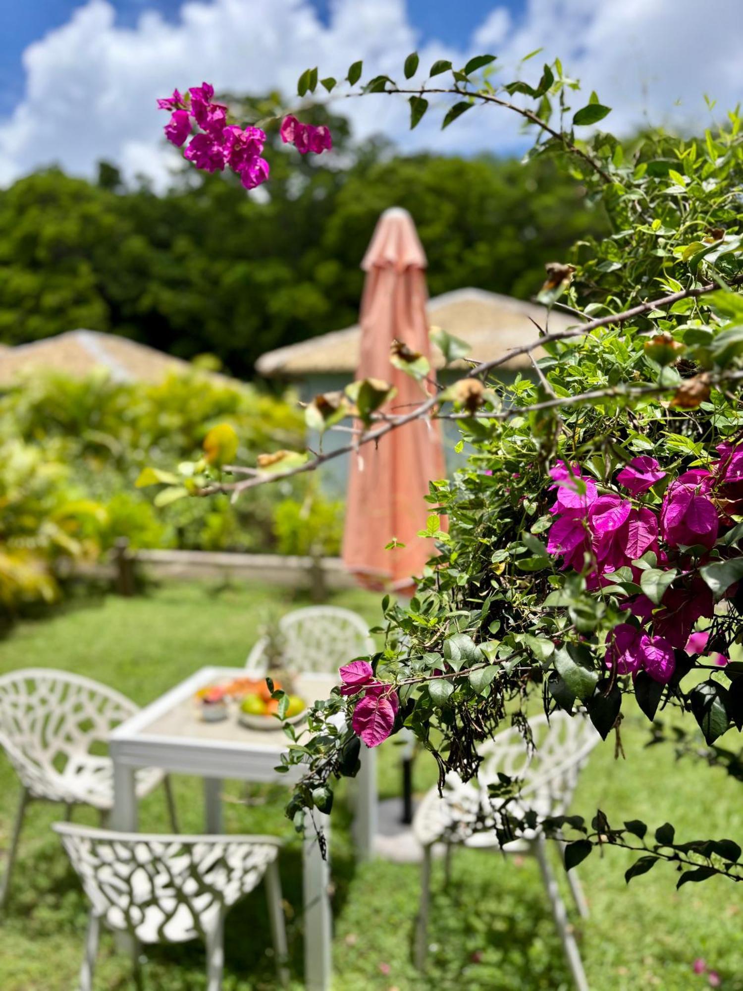 L Oralya - Blue Dream, Plage, Piscine, Restaurant Grand-Bourg (Marie Galante) Экстерьер фото